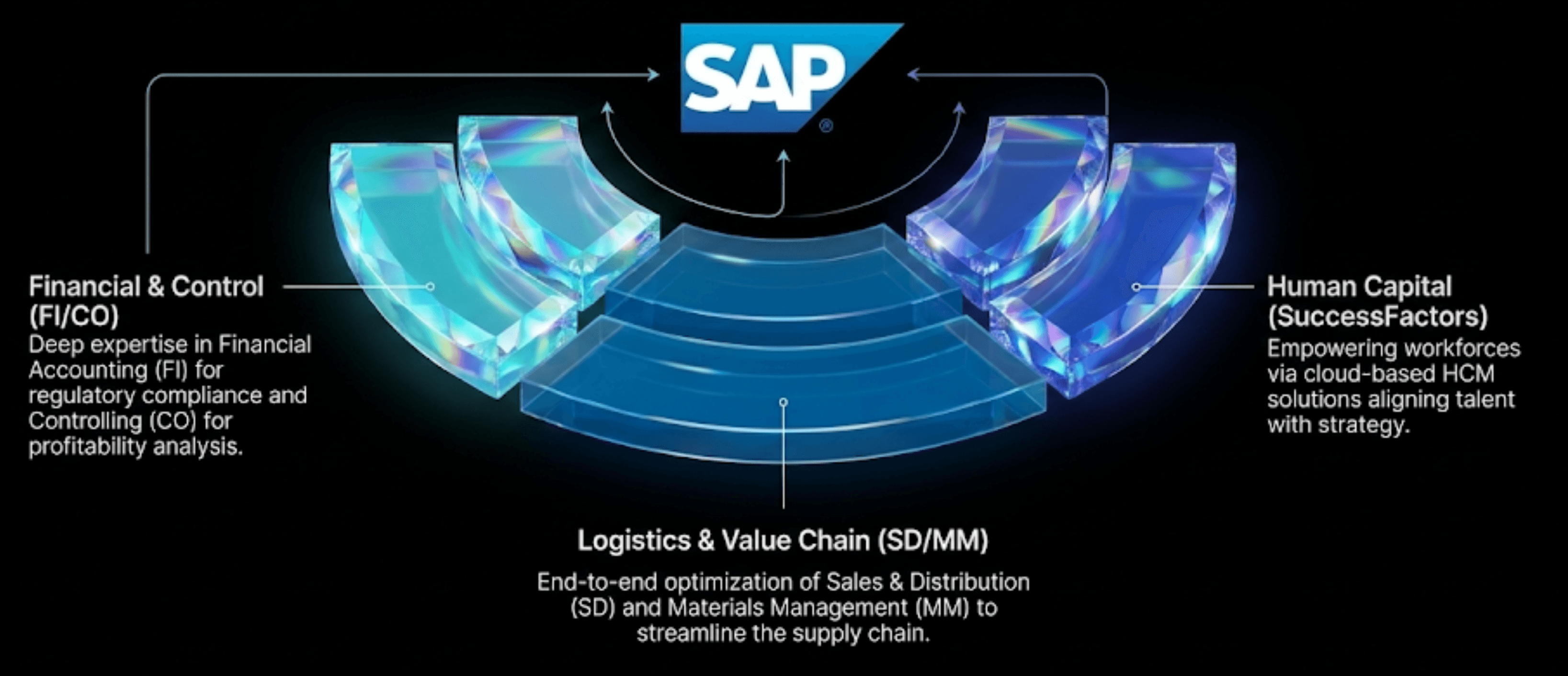 Mapa de experiencia en consultoría SAP